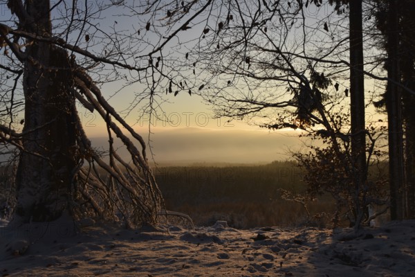 Winter sunrise with snow in the Hunsrück-Hochwald National Park in the area between Wildenburger