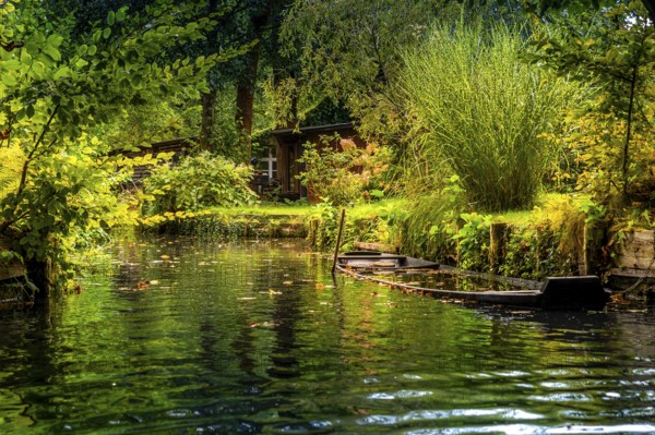 Spreewald barge, lowered, flooded, ditch, river Spree, Germany, Brandenburg, Spreewald, Lehde,