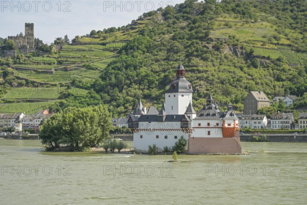 Burg Pfalzgrafenstein in the Rhine, Kaub on the Rhine, above Burg Gutenfels, Rhine-Lahn district,