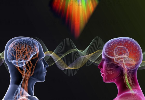 Symbol photo, ChatGBT, AI, OpenAI, chatbot, artificial intelligence, artificial intelligence, IT