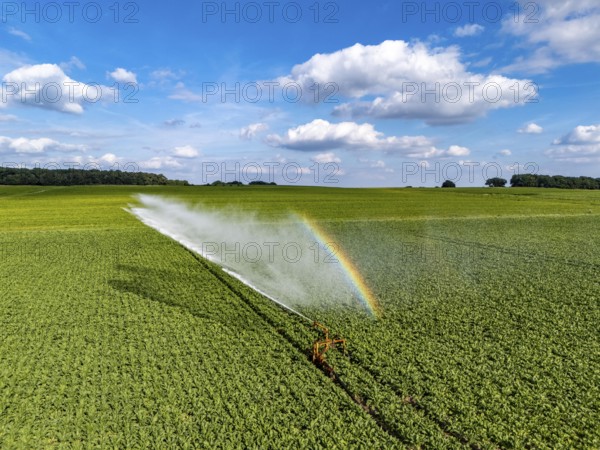 Artificial irrigation with a sprinkler system in a field where sugar beet is grown, near Rheurdt,
