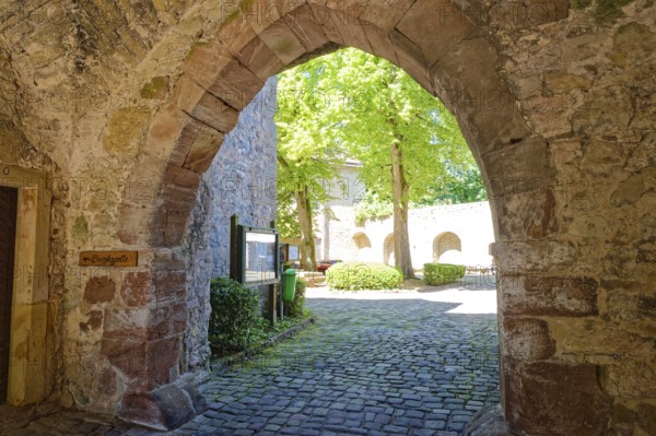 Dringenberg Castle is a medieval hilltop castle in Dringenberg in the district of Höxter. It was