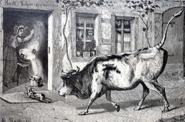 Farming, Bull has broken free and charges towards the kitchen, the farmer's wife spills the vat of