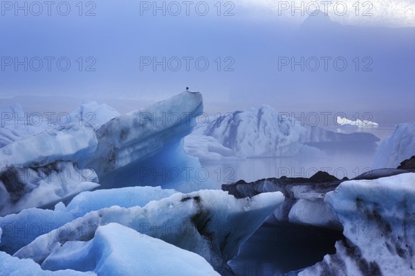 Icebergs in the morning light, Jökulsárlón glacier lagoon, Jökulsarlon, glacial lake, Vatnajökull