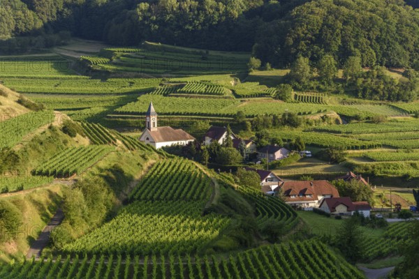 Het uitzicht toont een schilderachtig dorp omringd door uitgestrekte wijngaarden op de heuvels, met