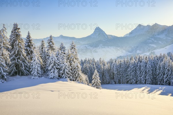 View of Sattelegg with Chöpfenberg in the background, Canton Schwyz, Switzerland