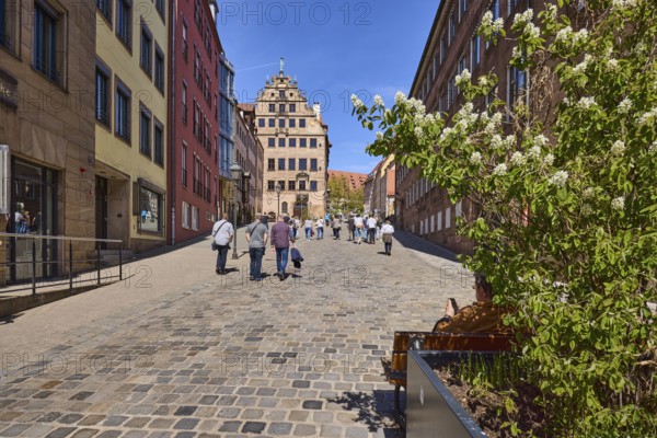 City museum in the Fembo House, historic merchant's house, city museum, flower pot, blossoming