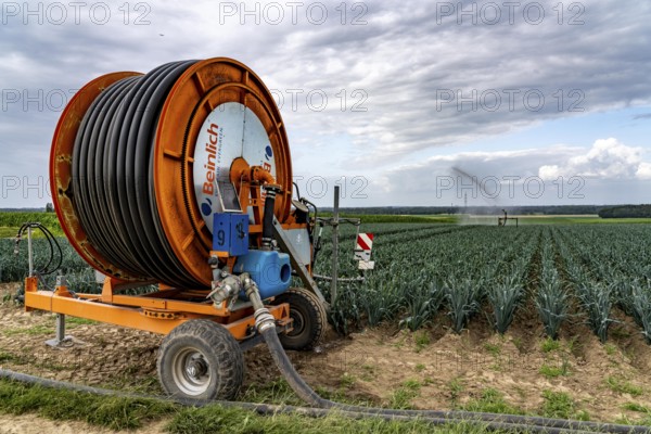 Agriculture, artificial irrigation of a field, sprinkler system, leek, leek, east of Nettetal, on
