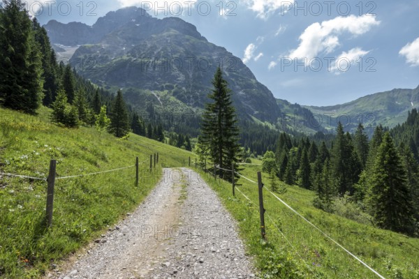 Hiking trail in Bärgunttal, behind Großer Widderstein, near Baad, Kleinwalsertal, Vorarlberg,