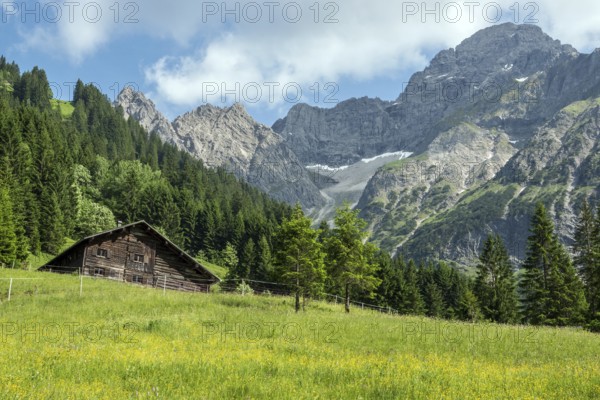 Meadow in bloom with Äußere Widderstein Alpe, behind Großer Widderstein, Bärgunttal, near Baad,