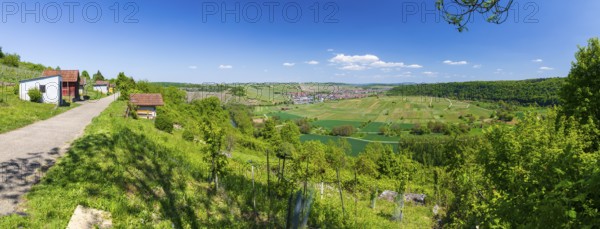 Panorama of the view of Hessigheim with a view over the Neckar loop and vineyards, Besigheim,