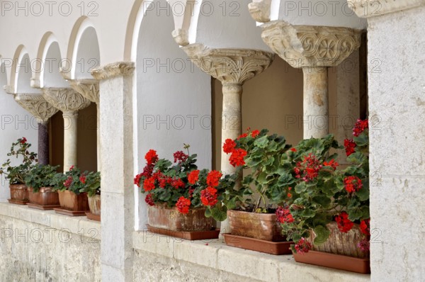 Columns with capitals, ornamental crutch capitals from the 10th and 11th centuries, flower boxes