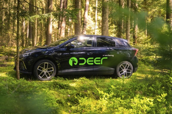 Side view of a black car in the forest, with green brand logo and natural light, MG 4, Deer E- Car