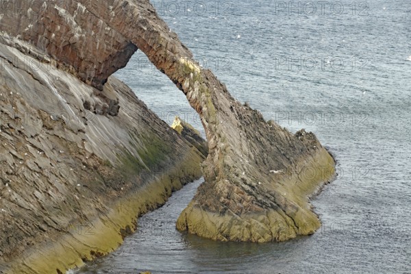 Remarkable rock formation jutting into the sea under a blue sky with few clouds, Bow Fiddle Rock,