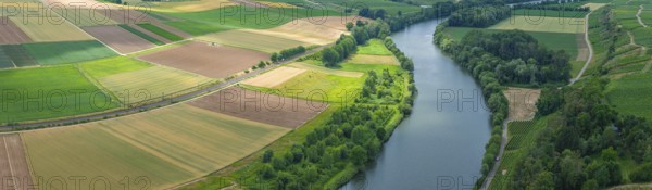 Agricultural area in the Neckarbogen near Lauffen am Neckar. Cereal fields in different shades of
