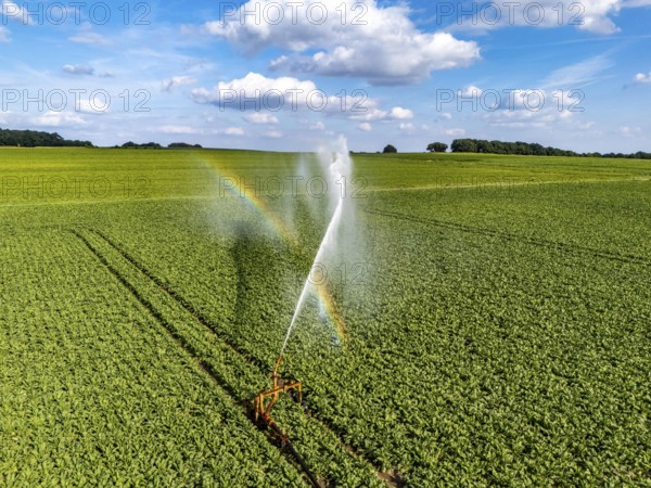 Artificial irrigation with a sprinkler system in a field where sugar beet is grown, near Rheurdt,