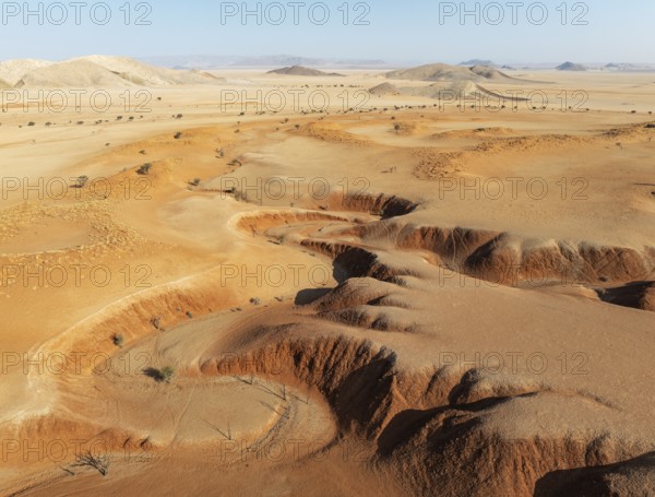 Canyons, arid plains grown with camelthorn trees (Vachellia erioloba) and isolated mountain ridges
