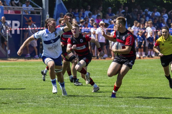 Rugby Bundesliga, 2024/25 season, final for the German championship: SC Frankfurt 1880 v TSV