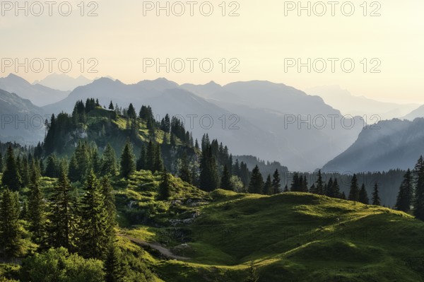View from the Pragel Pass over the Muota Valley in the evening light, Central Swiss Alps, Canton