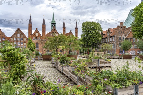Flower boxes at Geibelplatz and Heiligen-Geist-Hospital in the Hanseatic city of Lübeck,