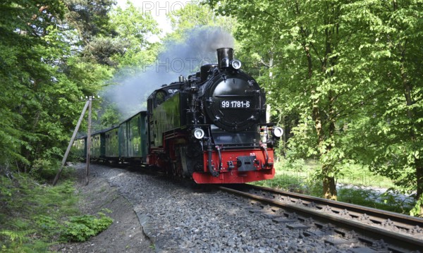 The Raging Roland, narrow-gauge railway, on Rügen, Mecklenburg-Vorpommern, Germany