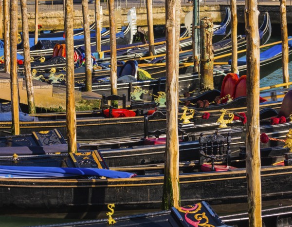 Magical journey to Venice. Gorgeous varnished gondolas offer a getaway on the Grande Canal. Bright