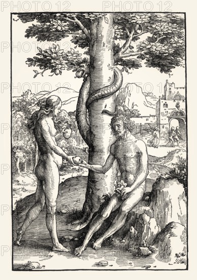 Lucas von Leyden, The Fall from Grace, Der Sündenfall, 16th century, by Lucas van Leyrlen,