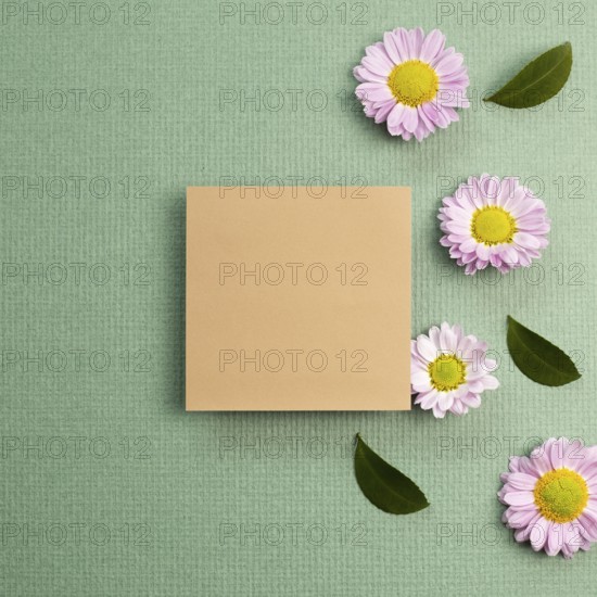 Blank memo pad with pink small flowered chrysanthemum on green background. flat lay, top view, copy