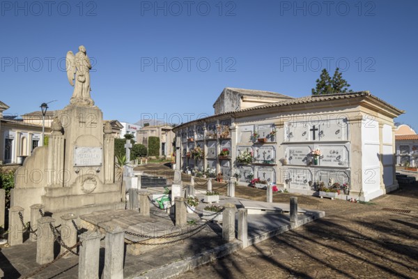 Inca municipal cemetery, established in 1820, niche groupings of curved lines, Majorca, Balearic