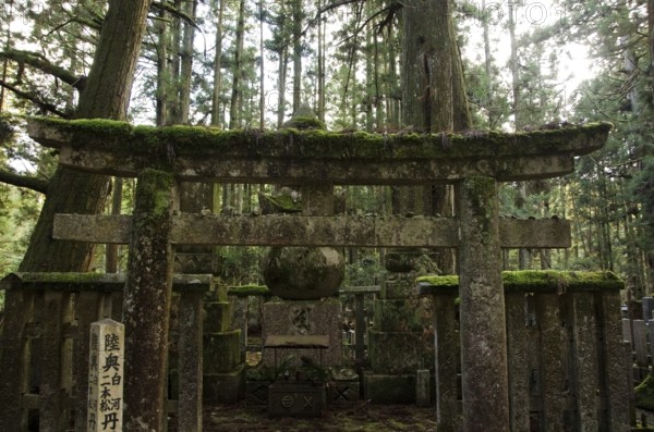 Okunoin cemetery at Mount Koya and Koya-san in Wakayama, Japan. World Heritage Site, Koya-san,