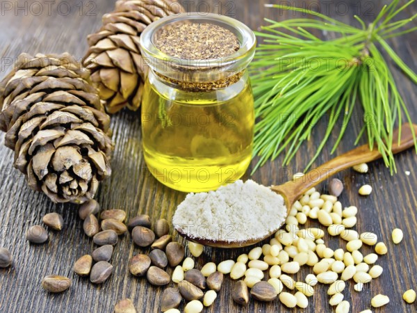 Cedar Flour in a wooden spoon, cedar nuts and two cones, cedar oil in a glass jar, a cedar branch