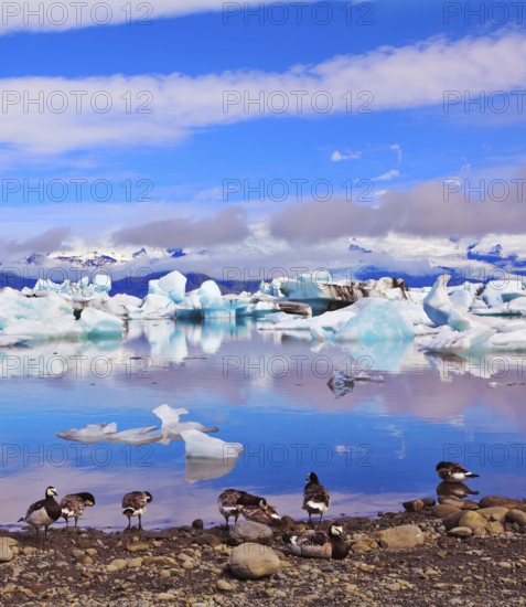 Jökulsárlón Glacial Lagoon in Iceland. Clouds, ice floes floating in the ocean, and polar birds