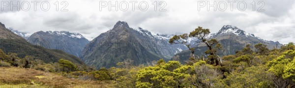 Panoramic view of the Southern Alps at Key Summit, Fiordland National Park, South Island of New