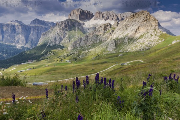 View over the meadows and the flowers in the Sella Group