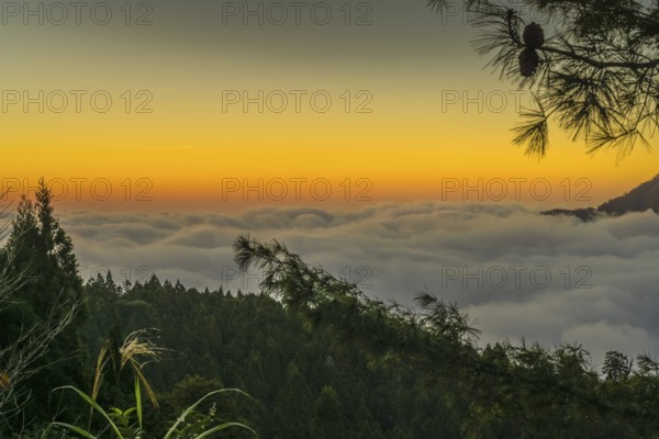 Sunset, fog in the valley, mountain landscape, low mountain range southwest of Alishan Township,