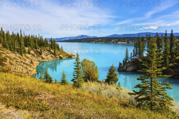 Indian summer in Canada, warm sunny day in autumn. Abraham Lake is the most beautiful lake in the