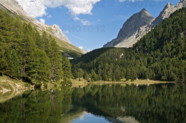 Der Palpuognasee (romanisch Lai da Palpuogna) ist ein See im Kanton Graubünden in den