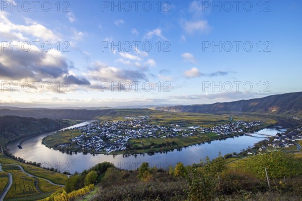 Beautiful vineyards in autumn, yellow leaves, a wonderful sunrise in the middle of the vineyards.