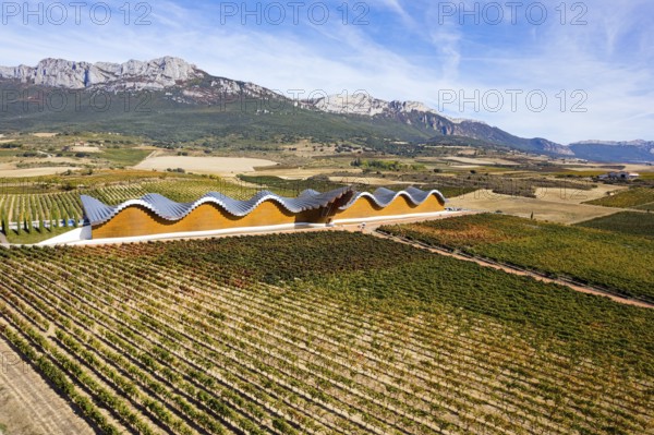 Bodegas Ysios winery and rows of vineyards. Laguardia, Spain. The architecture of Bodegas Ysios