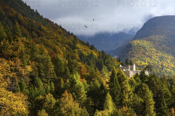 Pair of huge eagles circling in search of prey. Slovenia. Magnificent Julian Alps. Ancient ruins on