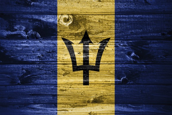 Barbados flag on wooden planks background wood flag