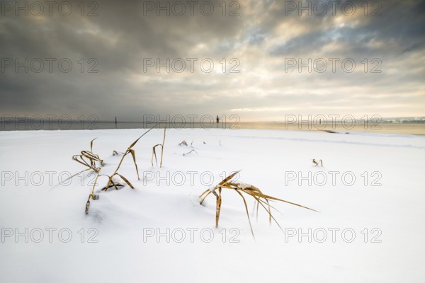Snow-covered landscape with a few dried grasses, a cloudy sky and a calm horizon, Strandbad Hörnle,