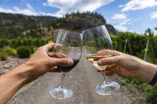 Hands holding and cheering a couple of red and white wine glasses selective focus close up view
