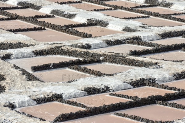 Picture Photo of Salt Flats in the Canry islands