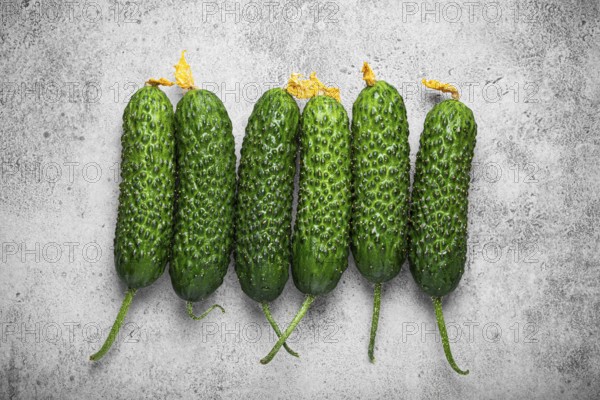 Fresh raw organic farmer cucumbers with leafs arranged on grey rustic stone background top view,
