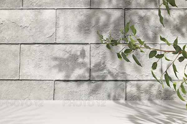 Concrete wall with hard shadows from palm leaves, Premium empty podium.Minimal abstract background