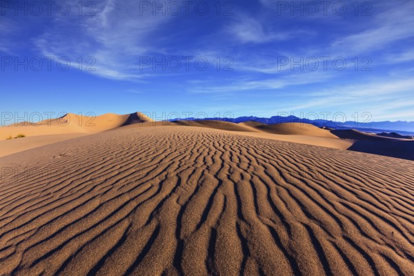 Thin waves on sand. Bright solar morning in picturesque part of Death Valley, USA. Mesquite Flat