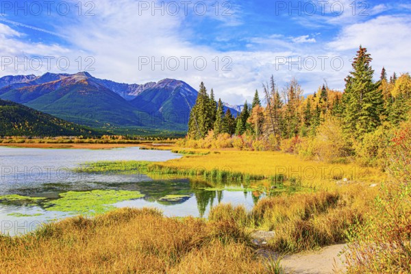 Small swamp on the shores of Lake Vermillon. The water is covered in green mud. Indian summer in