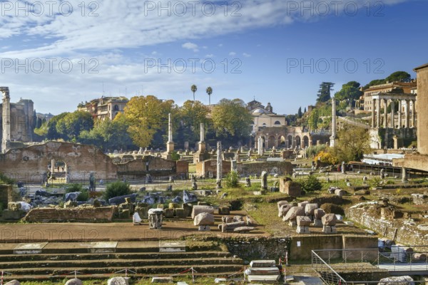 Roman Forum is a rectangular forum (plaza) surrounded by the ruins of several important ancient
