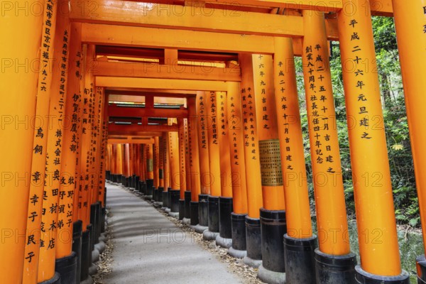 Kyoto, Japan - May 15 2019: Red Tori Gate at Fushimi Inari Shrine in Kyoto, Japan. One of the